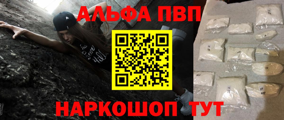 A PVP СК КРИС Светлоград