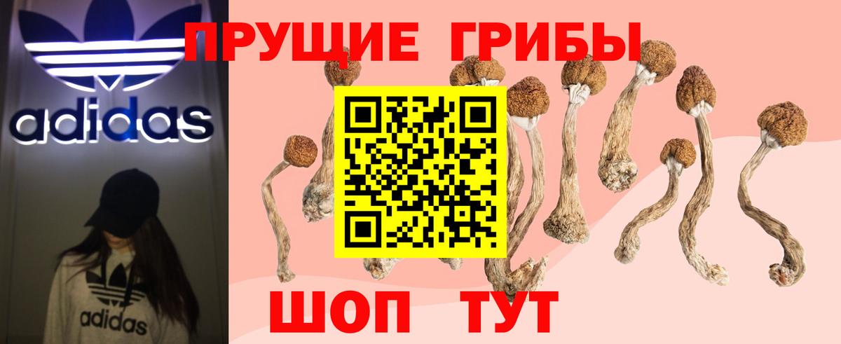 Псилоцибиновые грибы мухоморы Светлоград